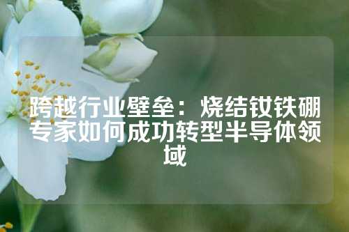 跨越行业壁垒：烧结钕铁硼专家如何成功转型半导体领域