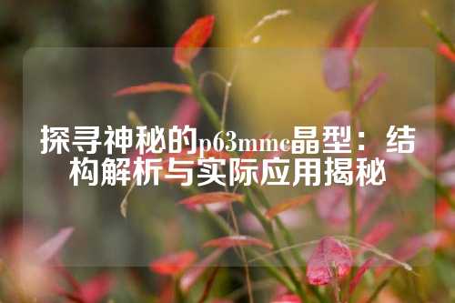 探寻神秘的p63mmc晶型：结构解析与实际应用揭秘