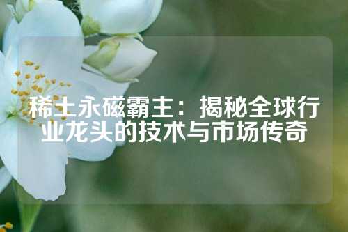 稀土永磁霸主：揭秘全球行业龙头的技术与市场传奇