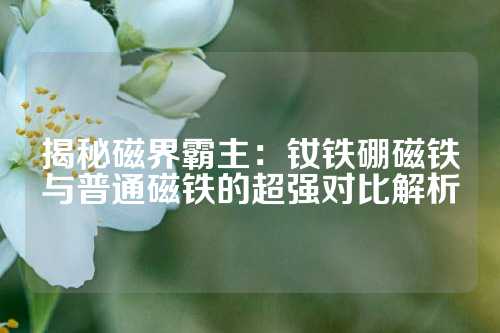 揭秘磁界霸主：钕铁硼磁铁与普通磁铁的超强对比解析