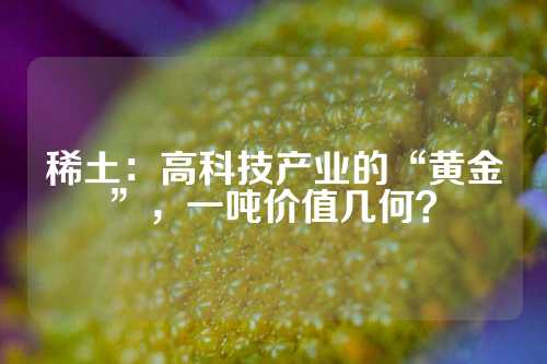 稀土：高科技产业的“黄金”，一吨价值几何？