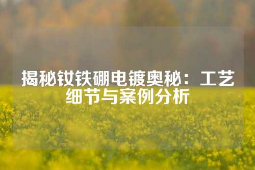 揭秘钕铁硼电镀奥秘：工艺细节与案例分析
