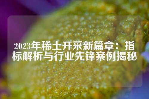 2023年稀土开采新篇章：指标解析与行业先锋案例揭秘