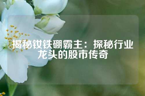 揭秘钕铁硼霸主：探秘行业龙头的股市传奇