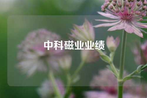 中科磁业业绩