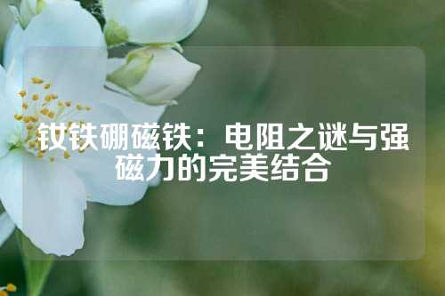 钕铁硼磁铁：电阻之谜与强磁力的完美结合