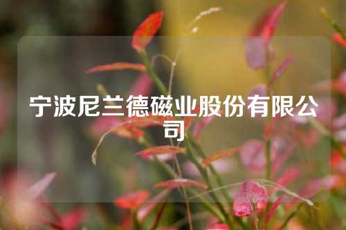 宁波尼兰德磁业股份有限公司