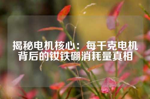 揭秘电机核心：每千克电机背后的钕铁硼消耗量真相