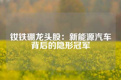 钕铁硼龙头股：新能源汽车背后的隐形冠军