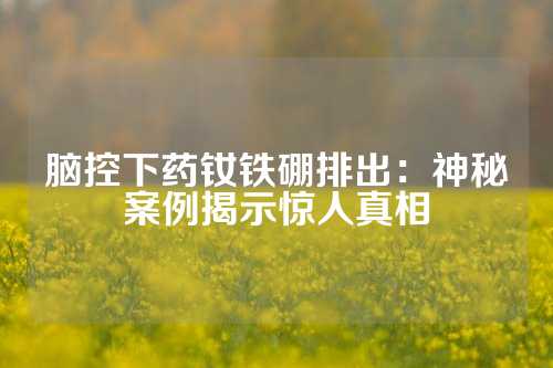 脑控下药钕铁硼排出：神秘案例揭示惊人真相