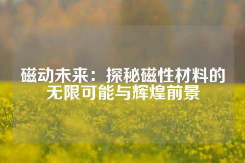 磁动未来：探秘磁性材料的无限可能与辉煌前景
