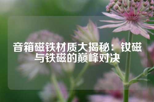 音箱磁铁材质大揭秘：钕磁与铁磁的巅峰对决