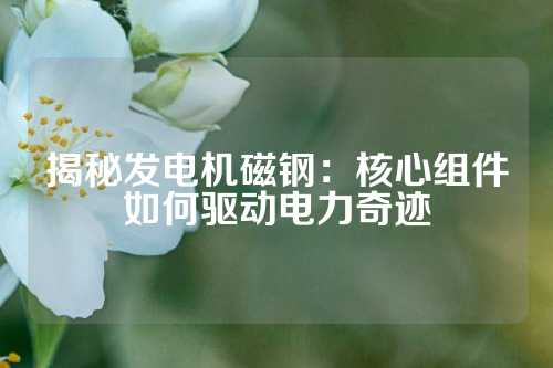 揭秘发电机磁钢：核心组件如何驱动电力奇迹