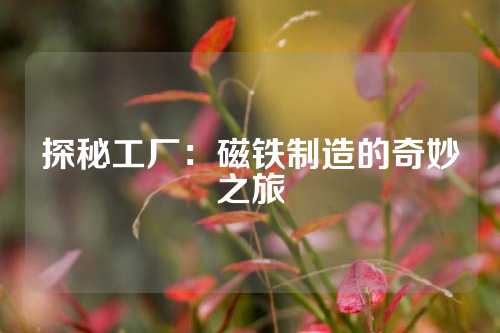 探秘工厂：磁铁制造的奇妙之旅