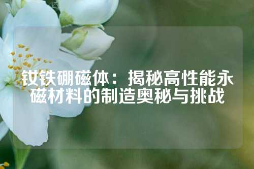 钕铁硼磁体：揭秘高性能永磁材料的制造奥秘与挑战