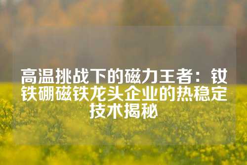 高温挑战下的磁力王者：钕铁硼磁铁龙头企业的热稳定技术揭秘