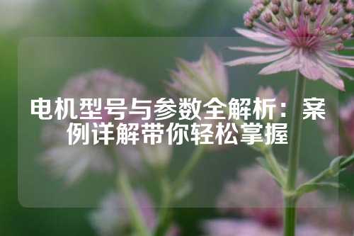 电机型号与参数全解析：案例详解带你轻松掌握