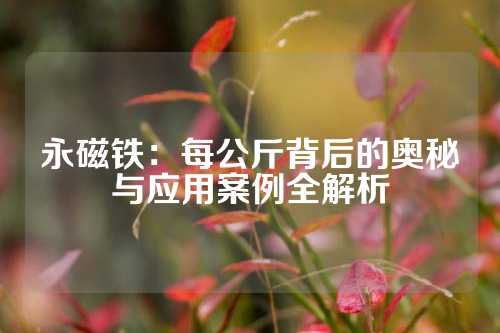 永磁铁：每公斤背后的奥秘与应用案例全解析