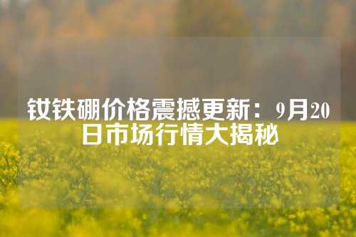 钕铁硼价格震撼更新：9月20日市场行情大揭秘