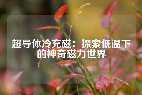 超导体冷充磁：探索低温下的神奇磁力世界