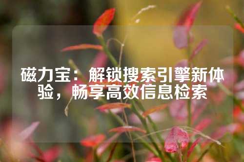 磁力宝：解锁搜索引擎新体验，畅享高效信息检索
