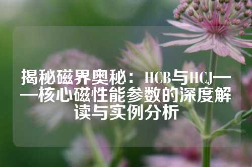 揭秘磁界奥秘：HCB与HCJ——核心磁性能参数的深度解读与实例分析