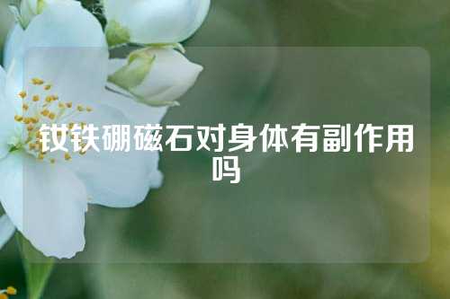 钕铁硼磁石对身体有副作用吗