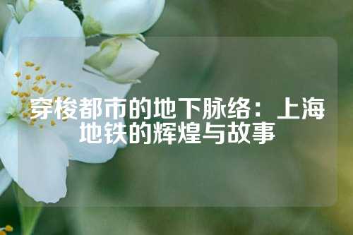 穿梭都市的地下脉络：上海地铁的辉煌与故事