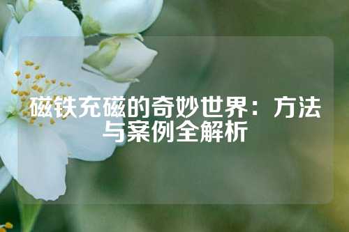磁铁充磁的奇妙世界：方法与案例全解析