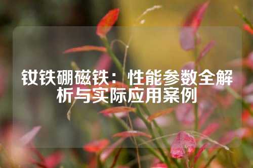 钕铁硼磁铁：性能参数全解析与实际应用案例