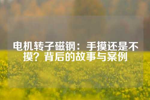 电机转子磁钢：手摸还是不摸？背后的故事与案例