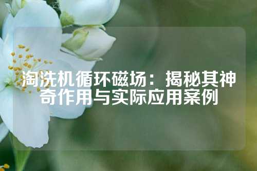 淘洗机循环磁场：揭秘其神奇作用与实际应用案例