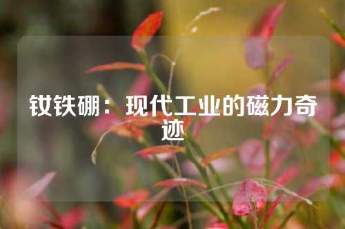 钕铁硼：现代工业的磁力奇迹