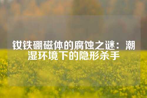 钕铁硼磁体的腐蚀之谜：潮湿环境下的隐形杀手