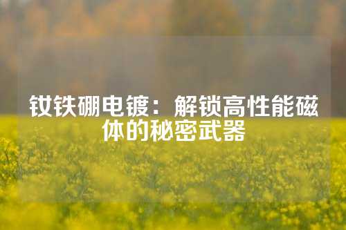 钕铁硼电镀：解锁高性能磁体的秘密武器