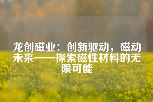 龙创磁业：创新驱动，磁动未来——探索磁性材料的无限可能