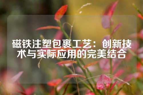 磁铁注塑包裹工艺：创新技术与实际应用的完美结合