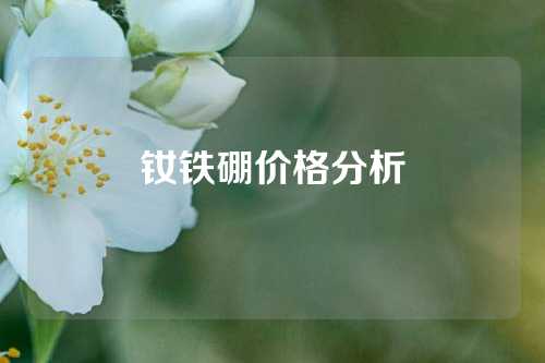 钕铁硼价格分析