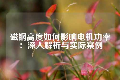 磁钢高度如何影响电机功率：深入解析与实际案例