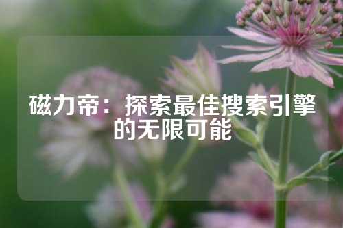磁力帝：探索最佳搜索引擎的无限可能