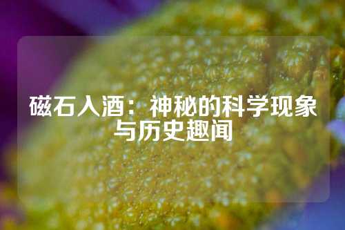 磁石入酒：神秘的科学现象与历史趣闻