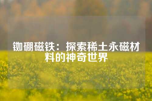 铷硼磁铁：探索稀土永磁材料的神奇世界