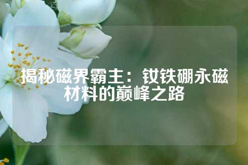 揭秘磁界霸主：钕铁硼永磁材料的巅峰之路