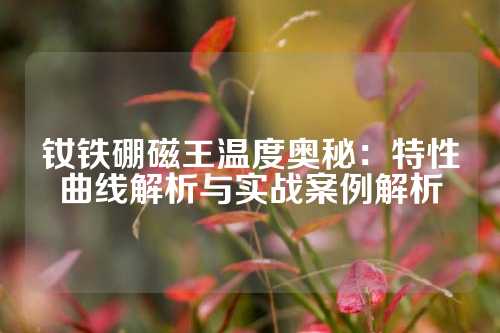钕铁硼磁王温度奥秘：特性曲线解析与实战案例解析
