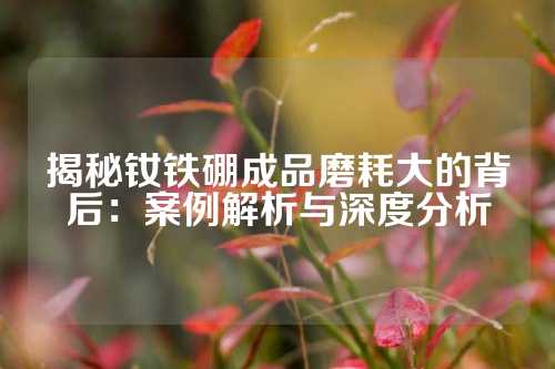 揭秘钕铁硼成品磨耗大的背后：案例解析与深度分析