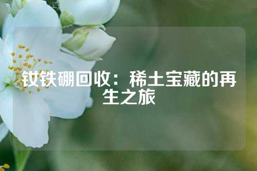 钕铁硼回收：稀土宝藏的再生之旅