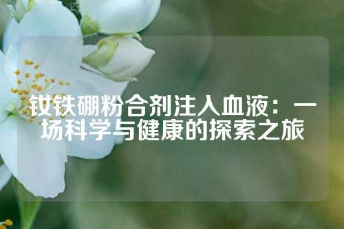 钕铁硼粉合剂注入血液：一场科学与健康的探索之旅