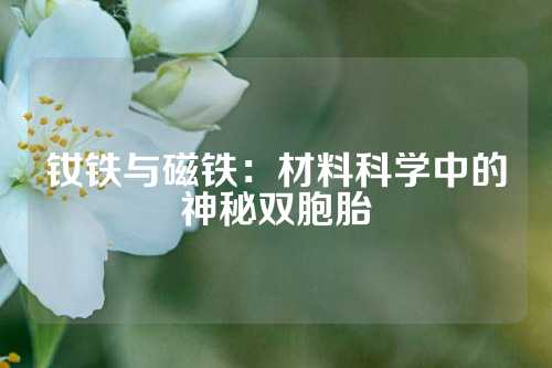 钕铁与磁铁：材料科学中的神秘双胞胎