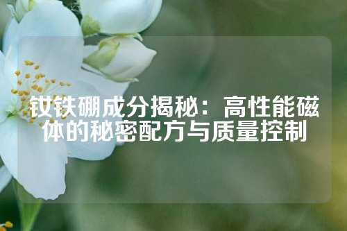 钕铁硼成分揭秘：高性能磁体的秘密配方与质量控制