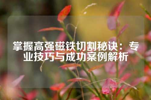 掌握高强磁铁切割秘诀：专业技巧与成功案例解析